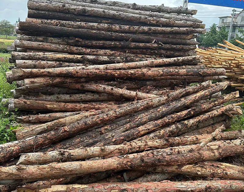 打樁松木（松木樁）